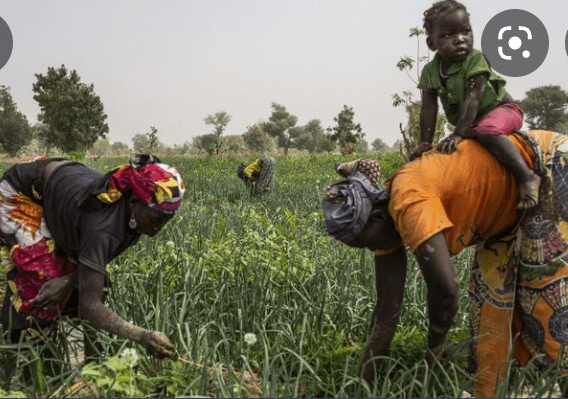 Article : #8MarsDay: hommage aux femmes d&rsquo;en bas